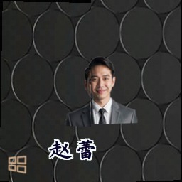 赵蕾